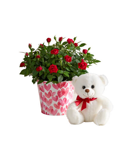 tree clipping path srevice (1)