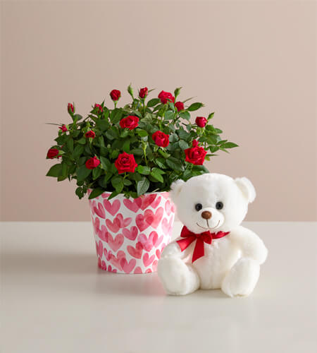 tree clipping path srevice (2)